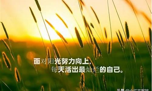 春天最走心的精辟句子短句_春天最走心的精辟句子