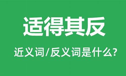 适得其反意思是什么_适得其反意思是什么 反义词