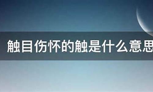 触目伤怀是什么意思?_触目伤怀的意思是什么意思