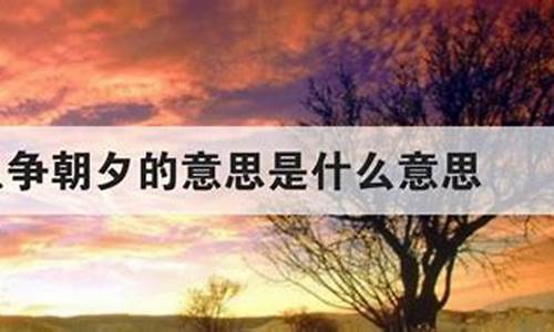 只争朝夕的意思是什么_只争朝夕,什么意思?